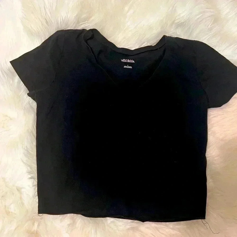 Black Crop V Neck Tee- Wild Fable